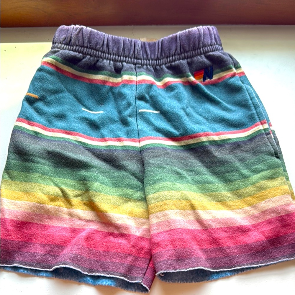 Aviator Nation Purple and Blue Shorts Vibrant Design